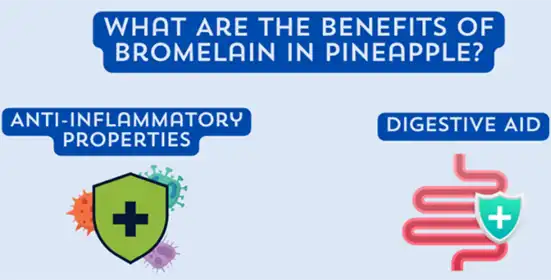 Top Health Benefits of Bromelain Enzyme Powder: Anti-Inflammatory and Digestive Support